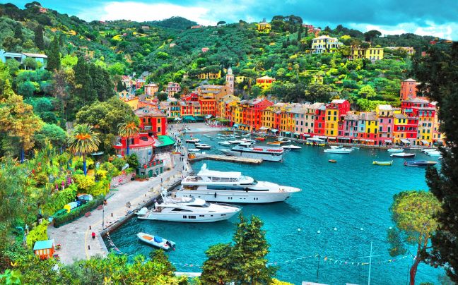 Amazing Holidays