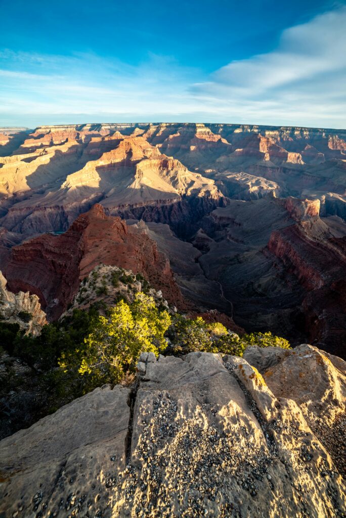 Amazing Holidays